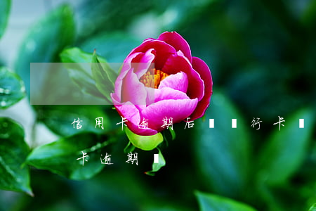 信用卡逾期后辦銀行卡(辦銀行卡會顯示信用卡逾期嗎)