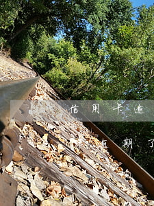 信用卡逾期后还不上怎么还(本人不在了信用卡逾期了要不要还款)