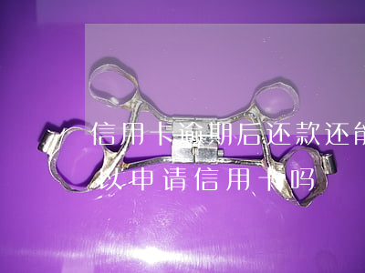 信用卡逾期后还款还能申卡吗 有过逾期还可以申请信用卡吗