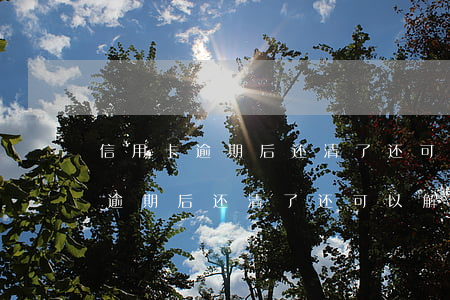 信用卡逾期后还清了还可以解冻吗-信用卡逾期后还清了还可以解冻吗
