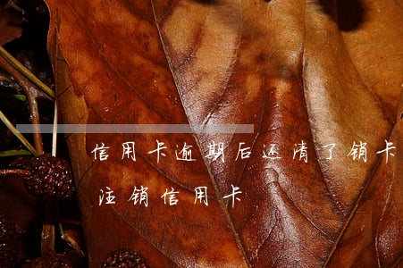 信用卡逾期后还清了销卡要等五年(逾期还清注销信用卡)