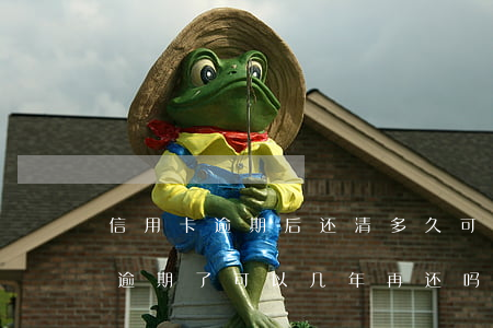 信用卡逾期后还清多久可以恢复(欠信用卡钱逾期了可以几年再还吗?)