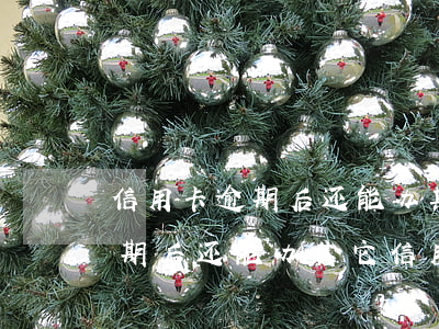 信用卡逾期后还能办其它信用卡吗(信用卡逾期后还能办其它信用卡吗怎么办)