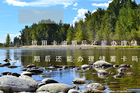 信用卡逾期后还能办理储蓄卡吗-信用卡逾期后还能办理储蓄卡吗