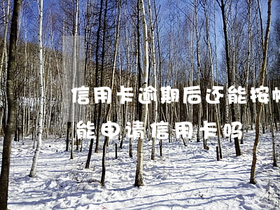 信用卡逾期后还能按帐牌还吗 有逾期记录还能申请信用卡吗