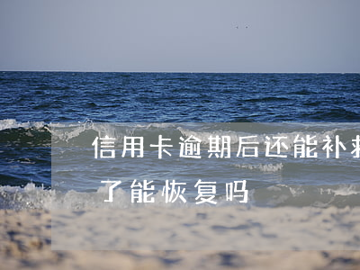 信用卡逾期后还能补救(逾期严重的信用卡还了能恢复吗)