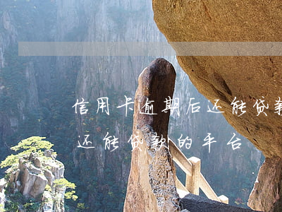 信用卡逾期后还能贷款的平台(信用卡逾期后还能贷款的平台)