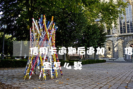 信用卡逾期后追加處罰(信用卡逾期后追加處罰金怎么算)