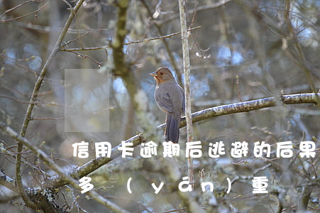 信用卡逾期后逃避的后果(信用卡逾期后果有多嚴(yán)重)