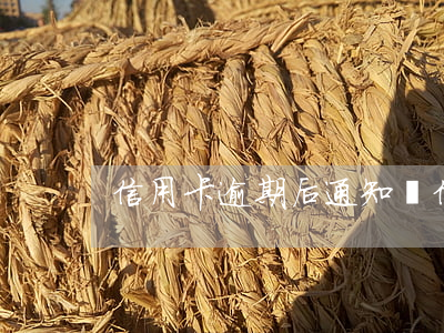 信用卡逾期后通知嗎(信用卡逾期后通知嗎)