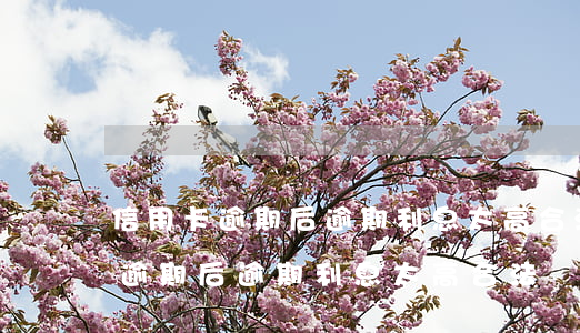 信用卡逾期后逾期利息太高合法嗎-信用卡逾期后逾期利息太高合法嗎知乎