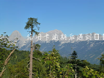 信用卡逾期后遇到煩惱(不小心信用卡逾期)