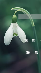 信用卡逾期后違約金怎么沒有了-信用卡逾期后違約金怎么沒有了呢