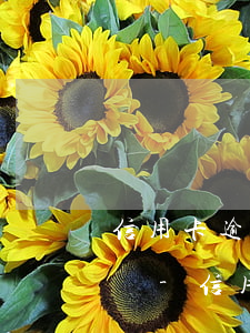 信用卡逾期后違還款會(huì)怎么處理嗎-信用卡逾期后違還款會(huì)怎么處理嗎知乎