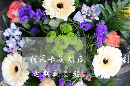 信用卡逾期后還一部分剩下的利息(欠信用卡逾期利息超過本金)
