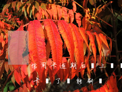 信用卡逾期后還上還會有額度么(逾期的信用卡還了還能刷嗎)