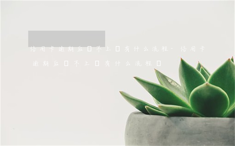 信用卡逾期后還不上會有什么流程-信用卡逾期后還不上會有什么流程嗎
