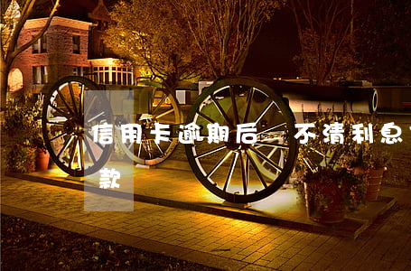 信用卡逾期后還不清利息(信用卡逾期還不了款)