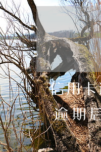 信用卡逾期后還了以后還能分期嗎-信用卡逾期后還了以后還能分期嗎