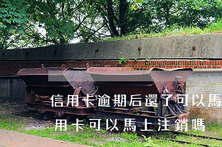 信用卡逾期后還了可以馬上注銷嗎(剛還清信用卡可以馬上注銷嗎)