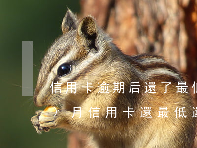 信用卡逾期后還了最低還款額-每個(gè)月信用卡還最低還款額算是逾期嗎