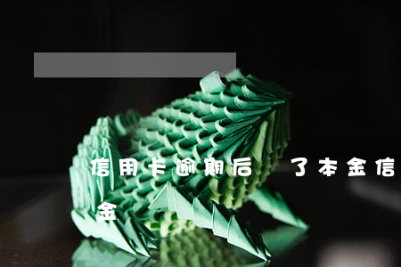 信用卡逾期后還了本金(信用卡逾期后還了本金)