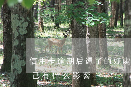 信用卡逾期后還了的好處(信用卡逾期了對自己有什么影響)