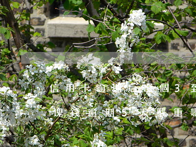 信用卡逾期后還個3到500(信用卡300塊錢逾期5天嚴重嗎)