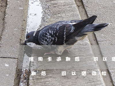 信用卡逾期后還可以借微粒貸嗎-信用卡逾期后還可以借微粒貸嗎安全嗎