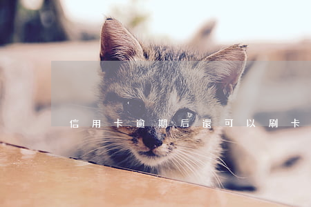 信用卡逾期后還可以刷卡使用嗎
