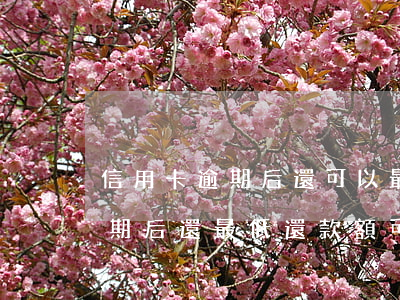 信用卡逾期后還可以最低還款額-信用卡逾期后還最低還款額可以嗎