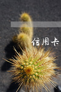 信用卡逾期后還可以申請(qǐng)車貸嗎 車貸卡逾期影響信用嗎