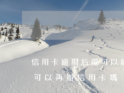 信用卡逾期后還可以辦信用卡嗎（信用卡逾期可以再辦信用卡嗎）