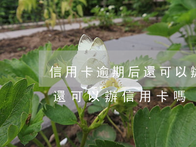 信用卡逾期后還可以辦信用卡嗎（信用逾期的還可以辦信用卡嗎）