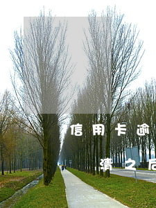 信用卡逾期后還完不用了會被(逾期的信用卡還清之后還能用嗎)