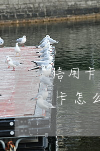 信用卡逾期后還完了算失信人嗎(失信后信用卡怎么還)