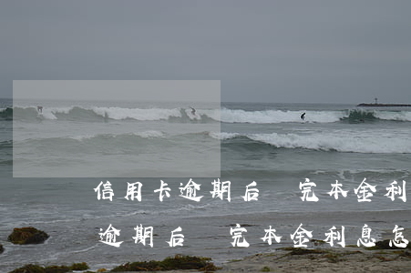 信用卡逾期后還完本金利息怎么辦-信用卡逾期后還完本金利息怎么辦理