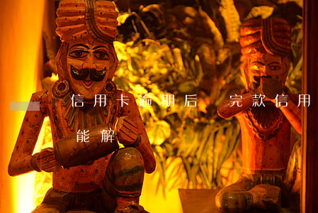 信用卡逾期后還完款(信用卡逾期后還完款還能解凍嗎)