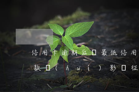 信用卡逾期后還最低(信用卡逾期后還最低還款會(huì)影響征信嗎)