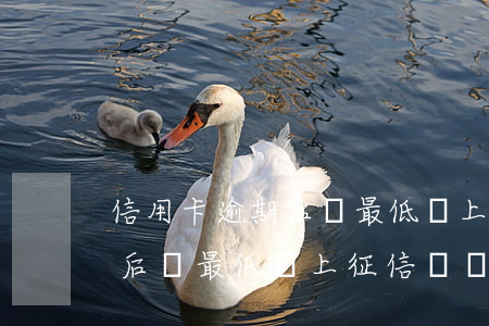 信用卡逾期后還最低會上征信嗎 信用卡逾期后還最低會上征信嗎貼吧