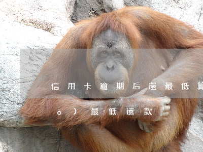 信用卡逾期后還最低算(還信用卡超過(guò)最低還款)