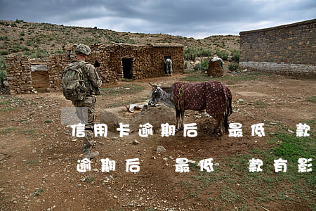 信用卡逾期后還最低還款有影響嗎-信用卡逾期后還最低還款有影響嗎會(huì)怎么樣