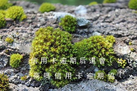信用卡逾期后還會(huì)協(xié)商嗎(信用卡逾期協(xié)商后又還不上款會(huì)怎么樣)
