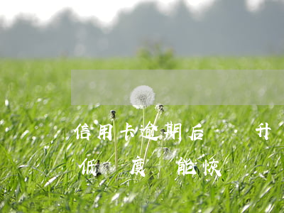 信用卡逾期后還會升額度嗎(信用卡逾期被降低額度還能恢復嗎)