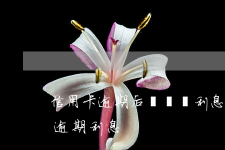 信用卡逾期后還會漲利息嗎(信用卡 逾期罰息 逾期利息)