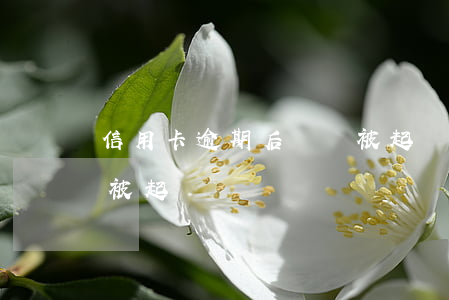 信用卡逾期后還會被起訴(信用卡逾期后還會被起訴)