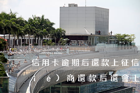信用卡逾期后還款上征信(信用卡逾期協(xié)商還款后還會上征信嗎)