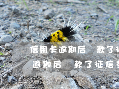 信用卡逾期后還款了征信多久消除-信用卡逾期后還款了征信多久消除記錄