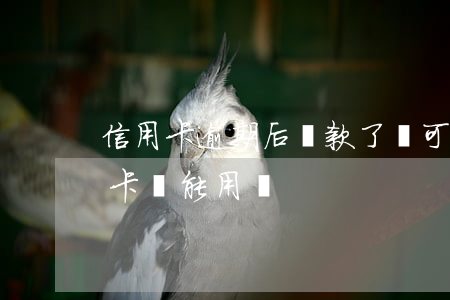 信用卡逾期后還款了還可以用嗎(逾期后信用卡還能用嗎)