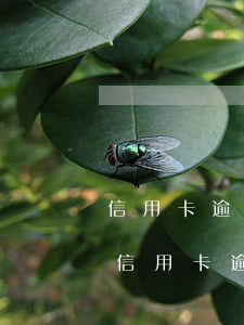 信用卡逾期后還款了還顯示逾期(正在還房貸信用卡逾期了)